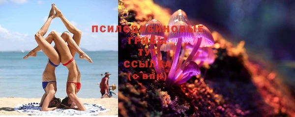 соль курить ск Богданович
