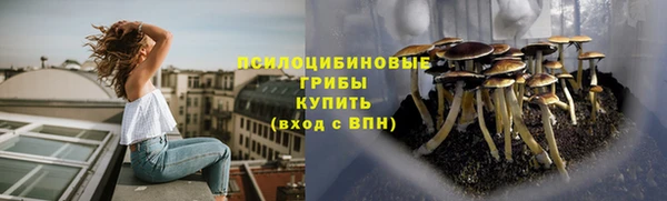 сатива Богородицк