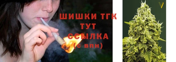 сатива Богородицк