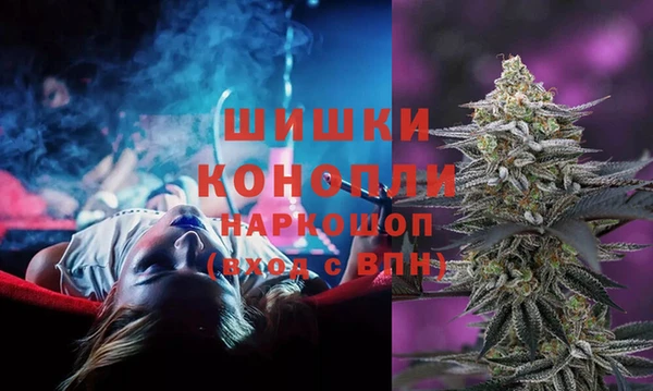 сатива Богородицк