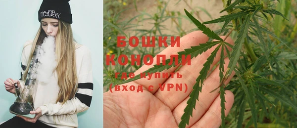 mix Богородск