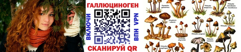 наркота  Вельск  Галлюциногенные грибы GOLDEN TEACHER 